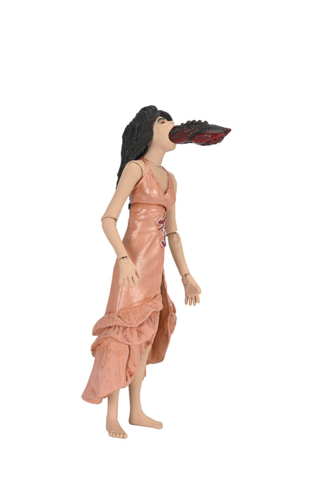 NECA Figura de Accion: Puppet Master - Mujer Sanguijuela y Estuche de Marionetas Toulon 2 Pack 7 Pulgadas