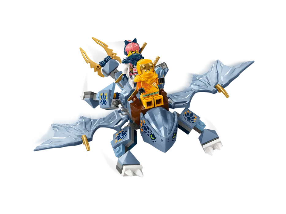 LEGO Ninjago Joven Dragon Riyu 71810